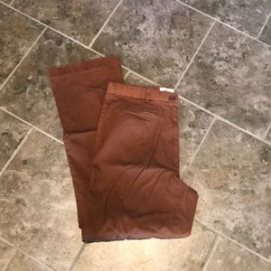 Dress barn pants size 12